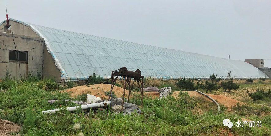 出蝦27斤/立方，連續三造成功后，工廠化養蝦在他看來并不難！